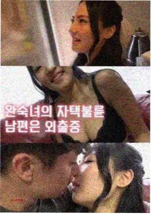 南来北往
